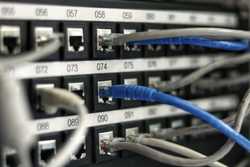 LAN cables in a network switch
