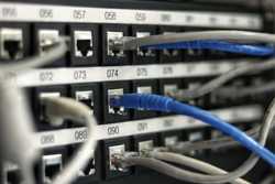 LAN cables in a network switch