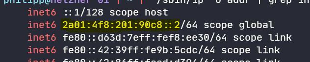 The command returns a list of ipv6 addresses